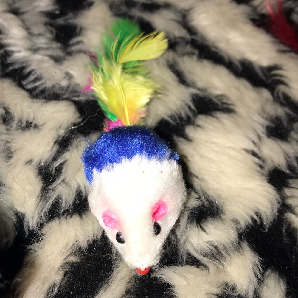 Blue feather Mouse 🐁 Cat toy with bonus catnip
